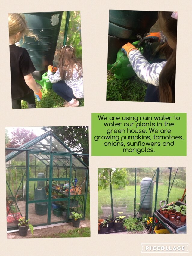 Image of Year 1 Gardening club